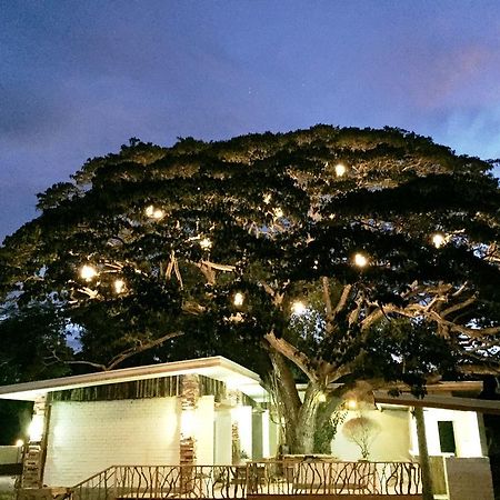 Serviced Apartments By Eco Hotel Bohol Panglao City Exterior foto