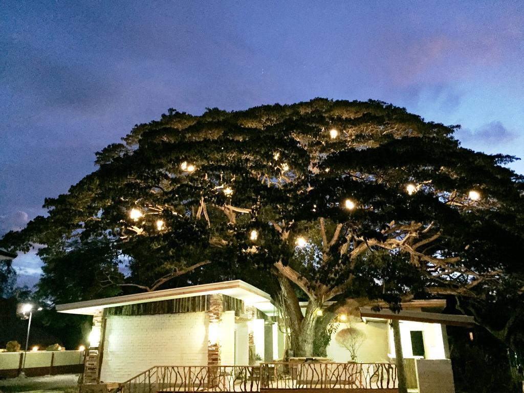 Serviced Apartments By Eco Hotel Bohol Panglao City Exterior foto